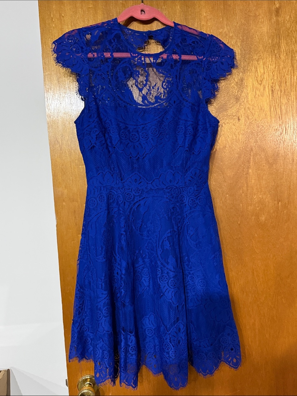 BB Dakota Cobalt Blue Lace Fit-and-Flare Mini Dress